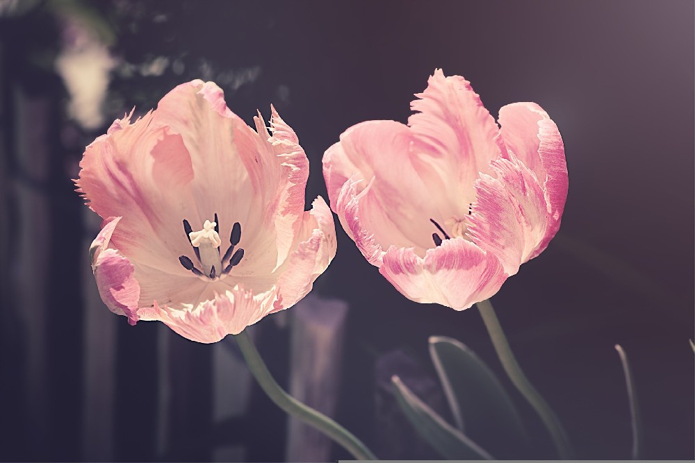 Shenzhen International Flavor and Fragrance Exhibition 2021: A Fragrant Success  Shenzhen, China -  May 21, 2021